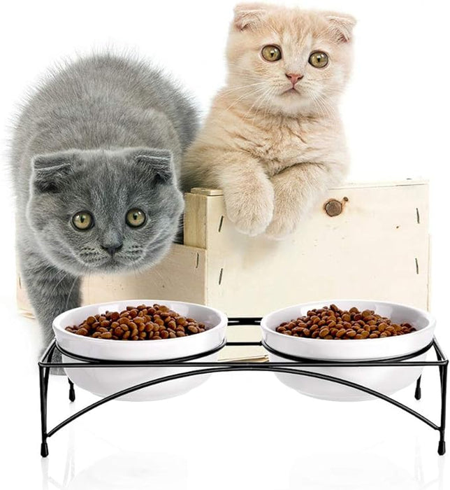 Y YHY Cat Food Bowls 4.8'' Elevated Cat Bowls with Stand, 12 Ounces