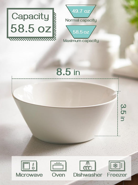 White Ceramic Bowls for Ramen Set of 4 - Dishwasher & Microwave Safe