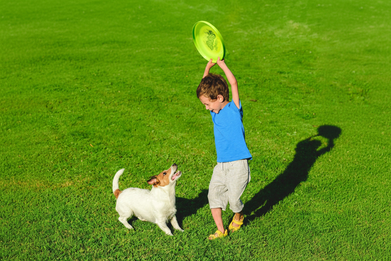 Celebrate National Pet Day with Wham-O Fastback dog-friendly frisbees - Fun with furry friends in the park.