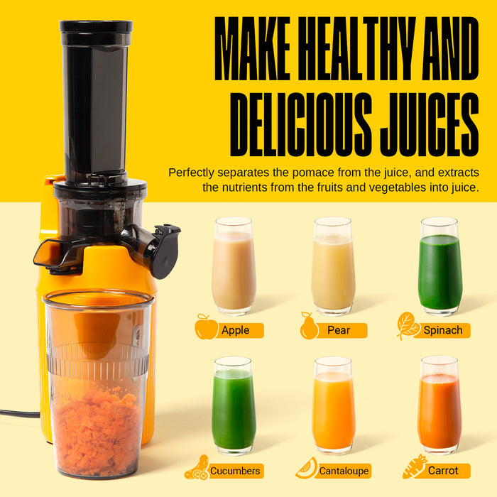 Ventray Ginnie Masticating Slow Juicer, Compact Small Cold Press Juicer