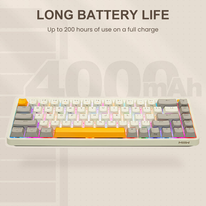 XIAOMI Z680 68 Keys 65% Mechanical Keyboard Gateron G Pro Yellow Switches, Autumn